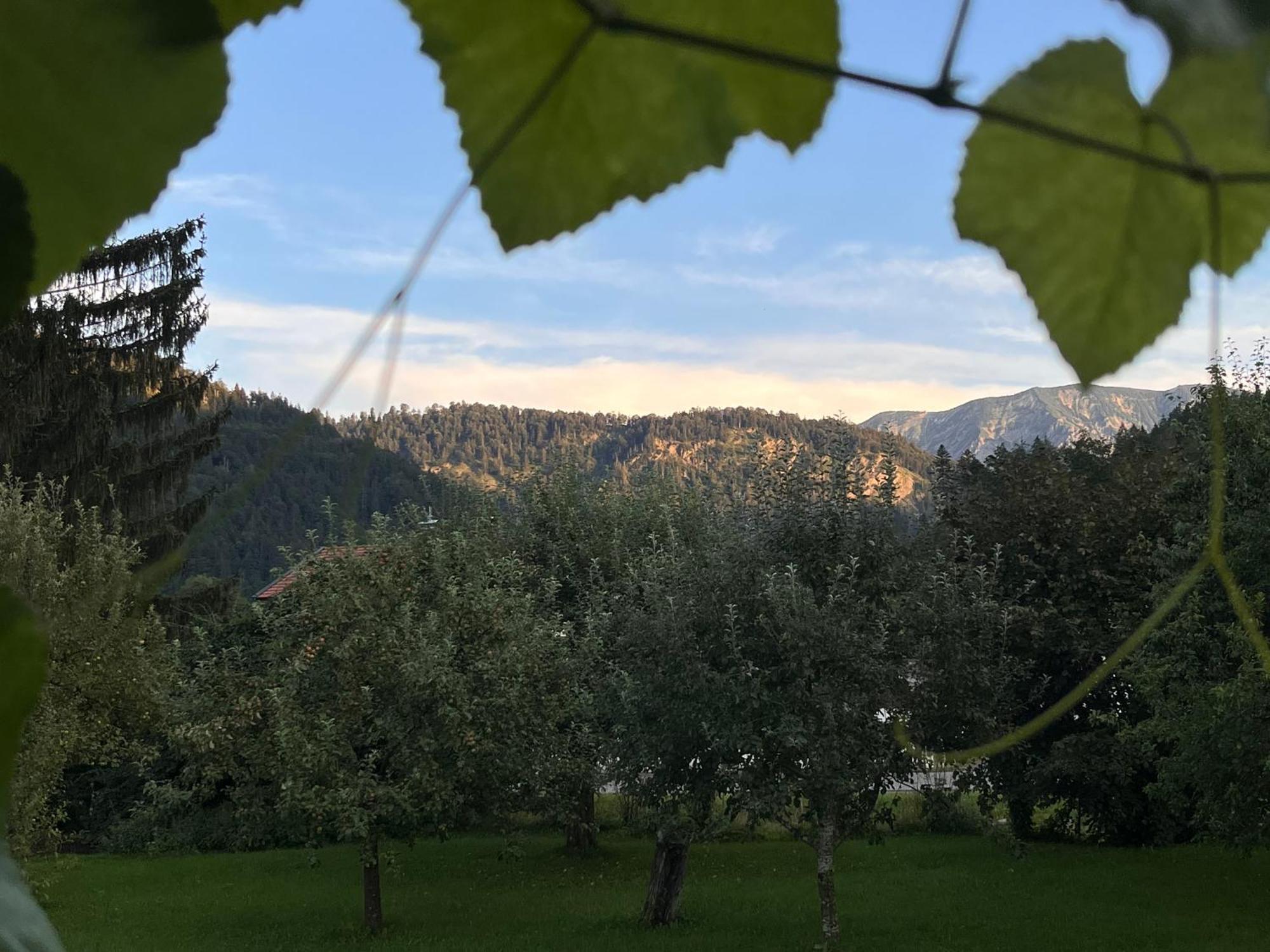 Gaestehaus Zum Thoma Kreuth Kültér fotó